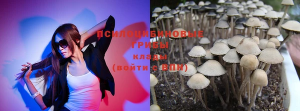 мет Алексин