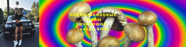 мет Алексин