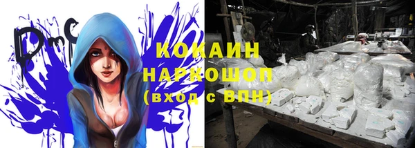 спайс Алзамай