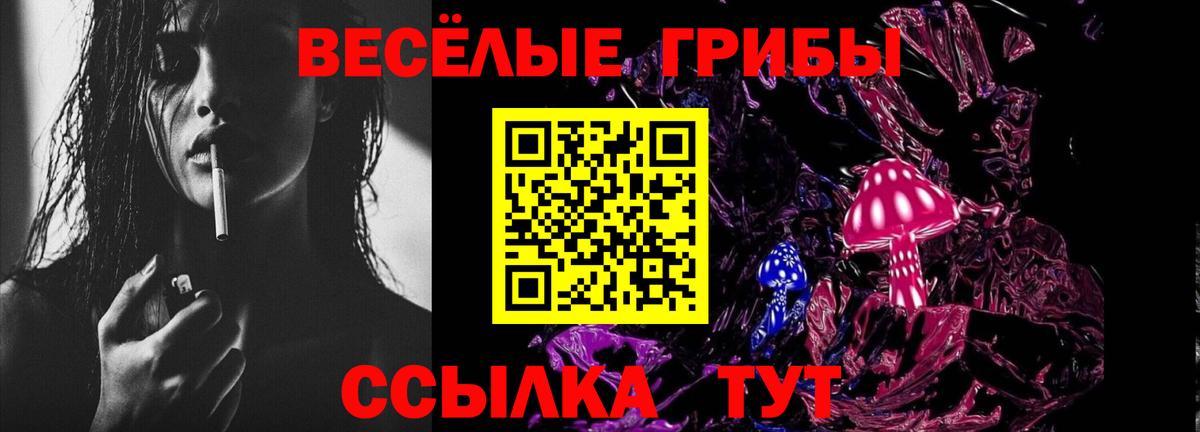 Тара  Галлюциногенные грибы ЛСД  Вход с VPN 